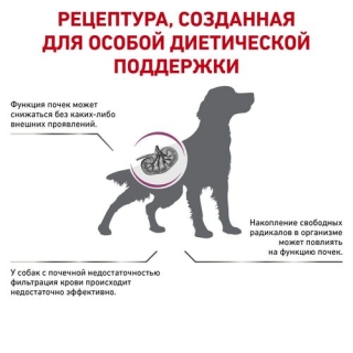 Лечебный сухой корм для собак Royal Canin Early Renal Dog (для взрослых собак при ранней стадии почечной недостаточности)
